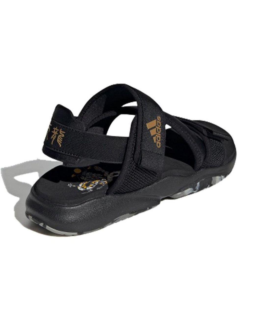 Adidas Blue Terrex Sumra Sports Sandals for men