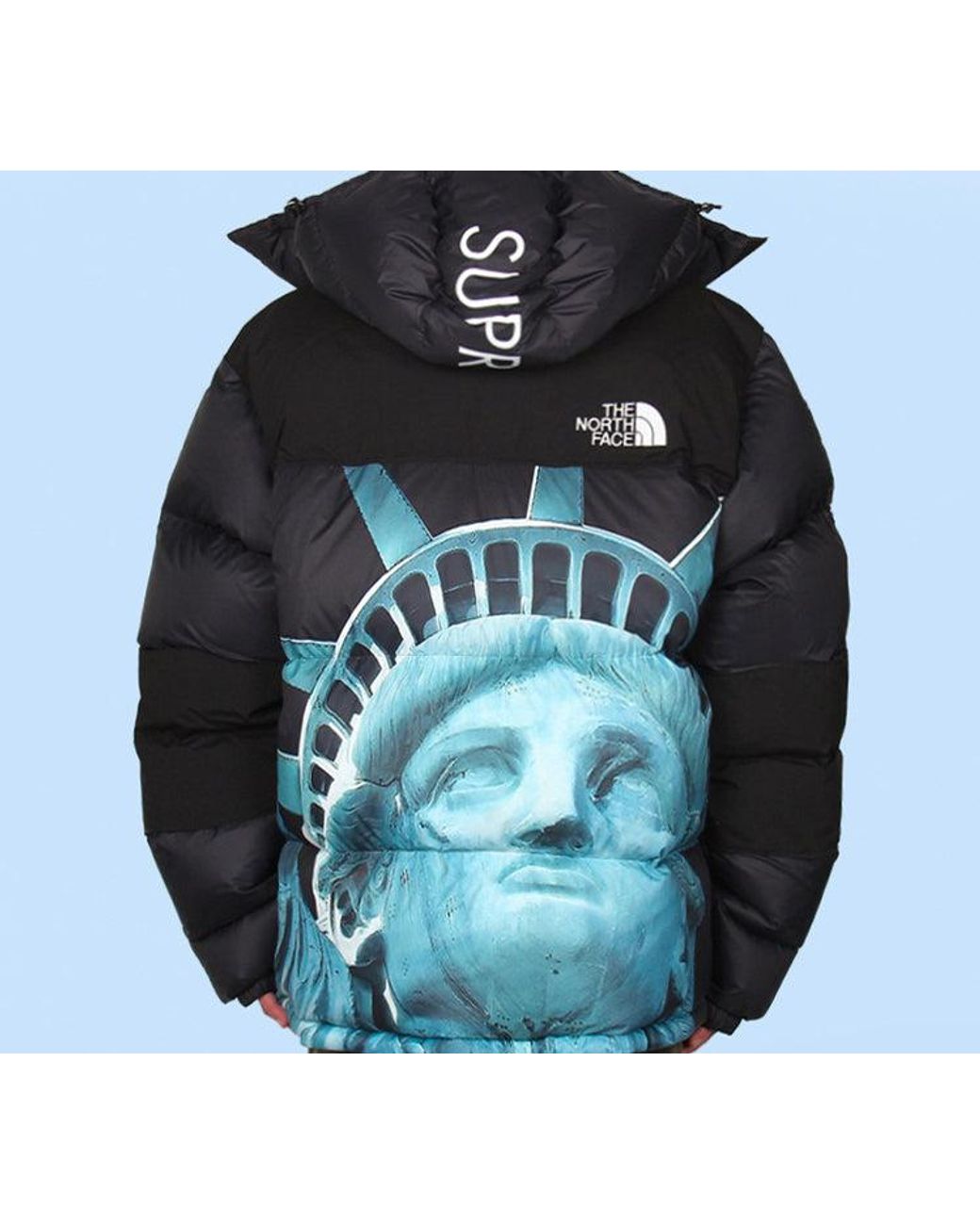 Supreme Blue X The North Face Statue Of Liberty Mountain Jacket for men