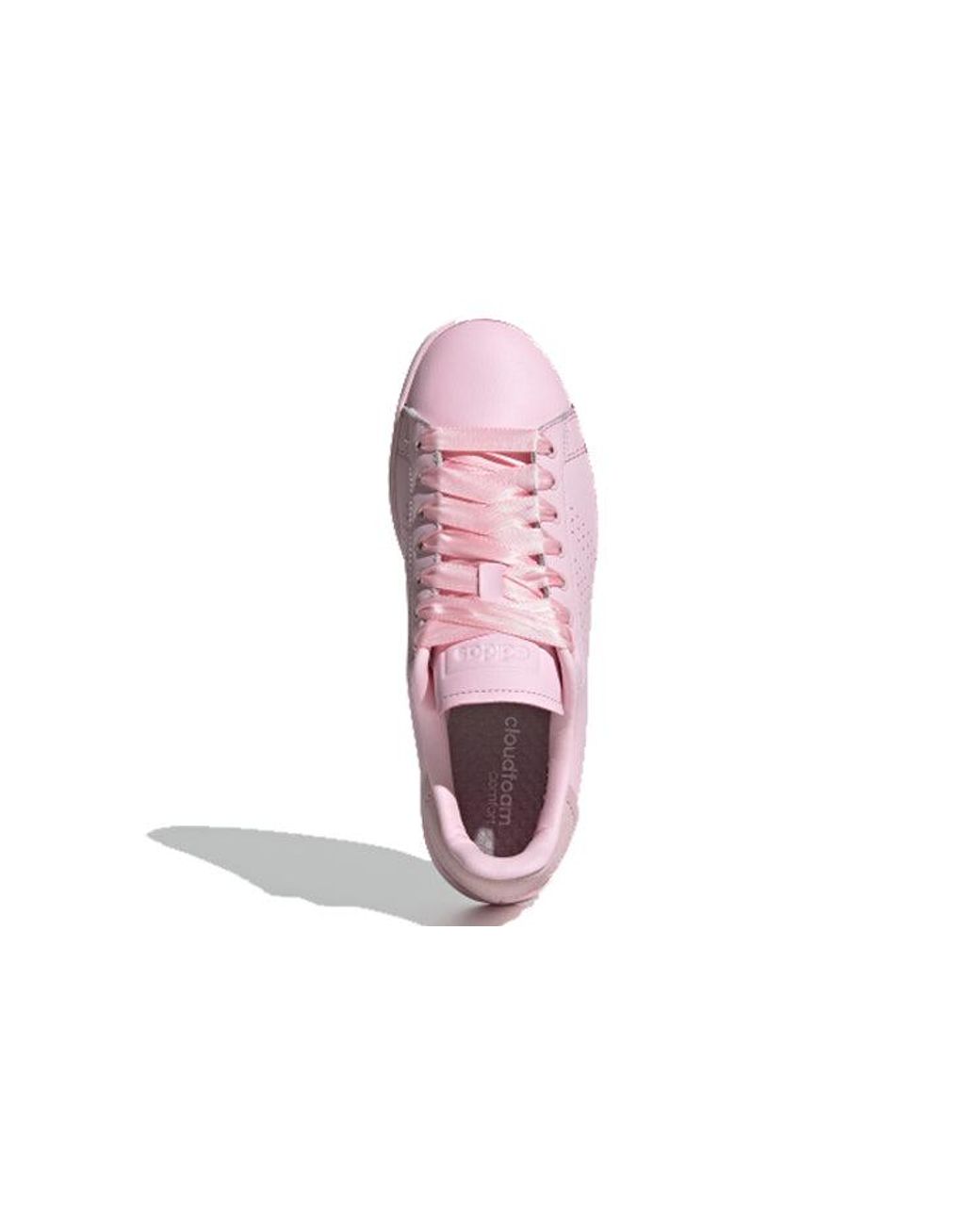 Adidas Pink (Wmns) Advantage Bold