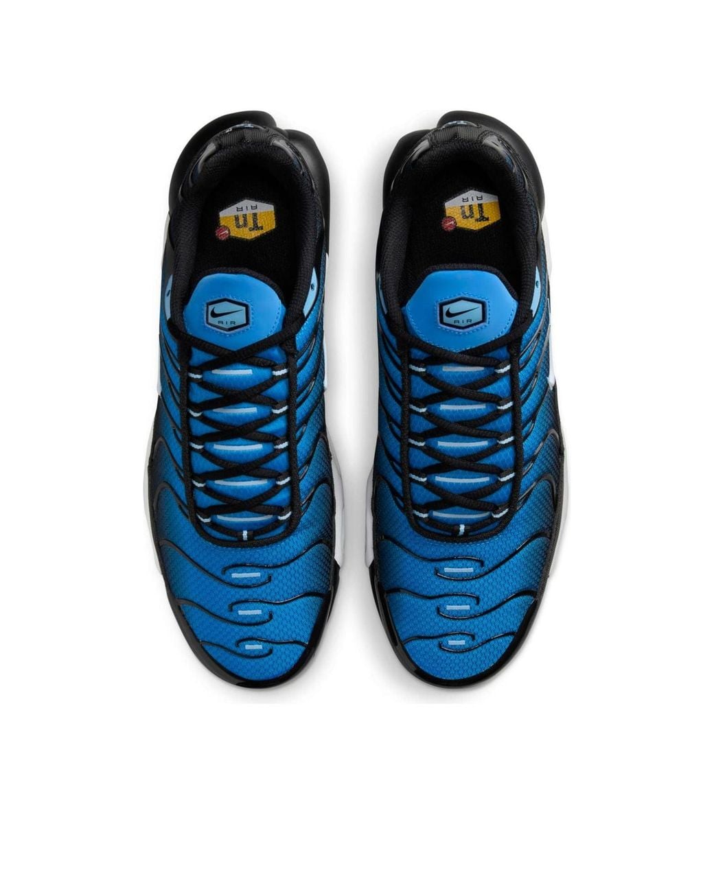 Nike Blue Air Max Plus 'Aquarius' for men