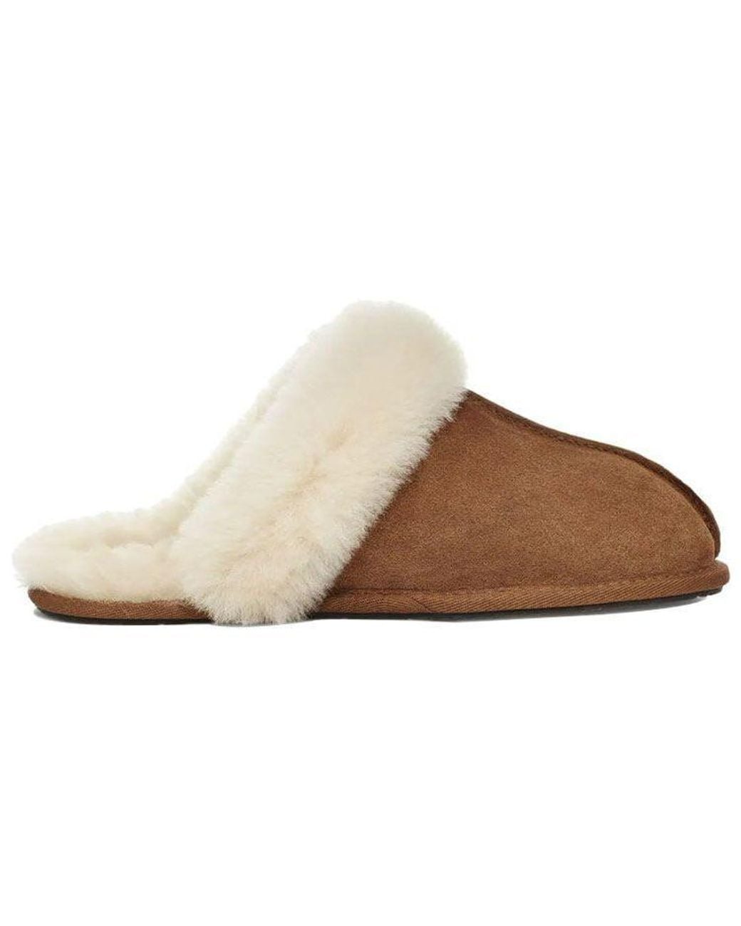 Ugg Scuffette Ii Brown Slippers