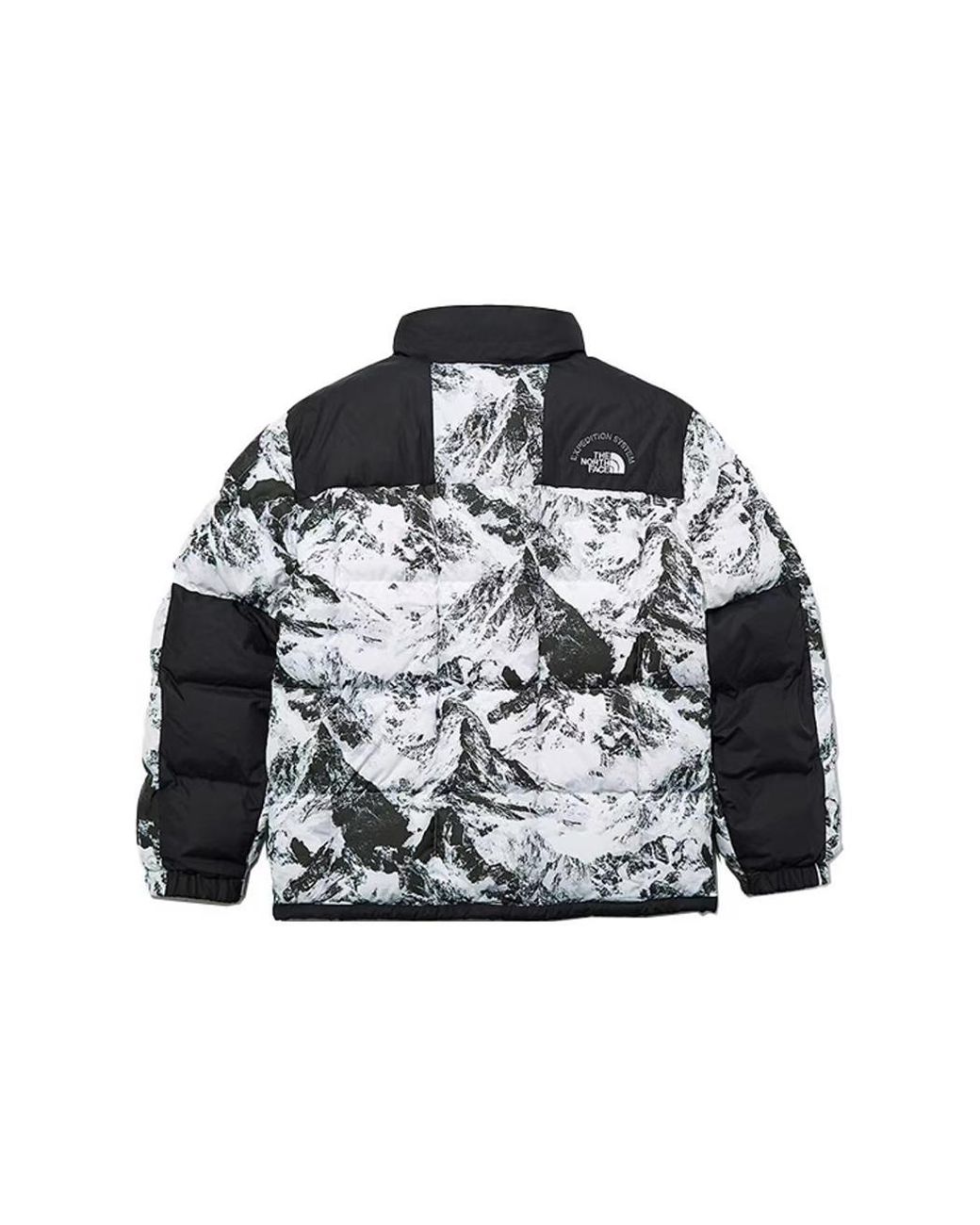 The North Face Gray Winter Custom Printed Jacket Nj1Dl56C for men