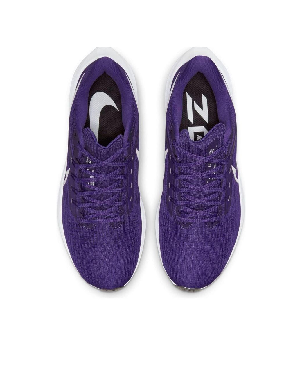 Nike Blue Air Zoom Pegasus 39 Tb 'Court' for men
