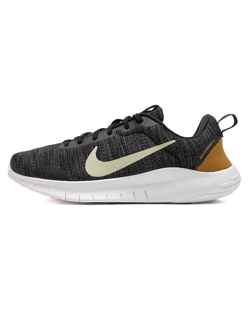 Nike Blue Flex Experience Run 12 Aura' for men