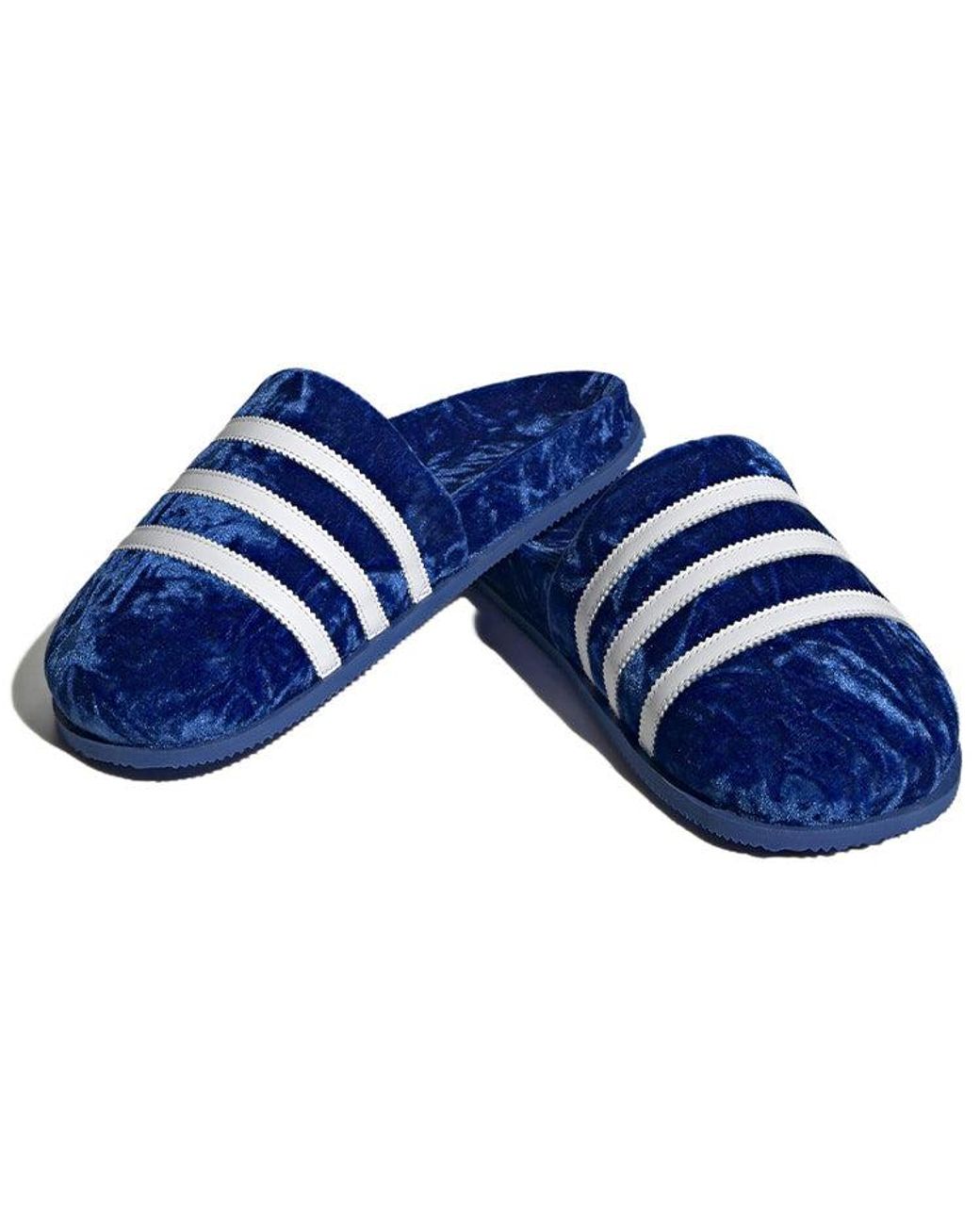 Adidas Blue Adimule Slide Velvet' for men