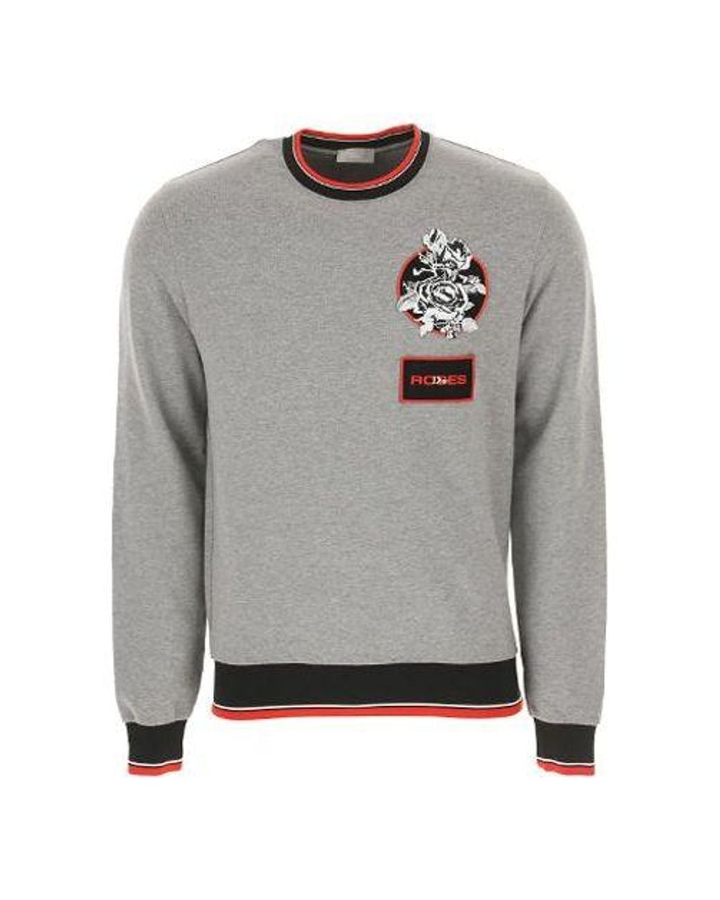 Dior Gray Rose Embroidered Cotton Crewneck Pullover For for men
