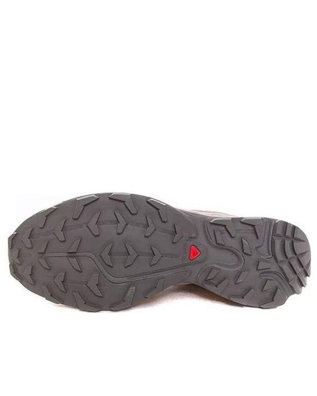 Salomon Brown Xt-6 Expanse 'Natrual Cement' for men