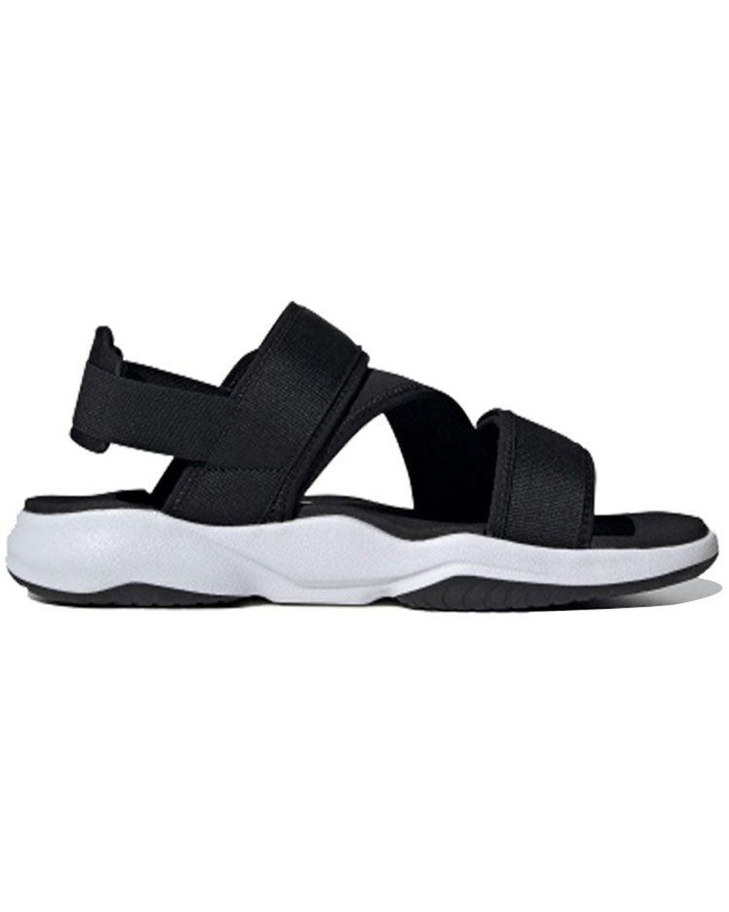 Adidas Blue Terrex Sumra for men