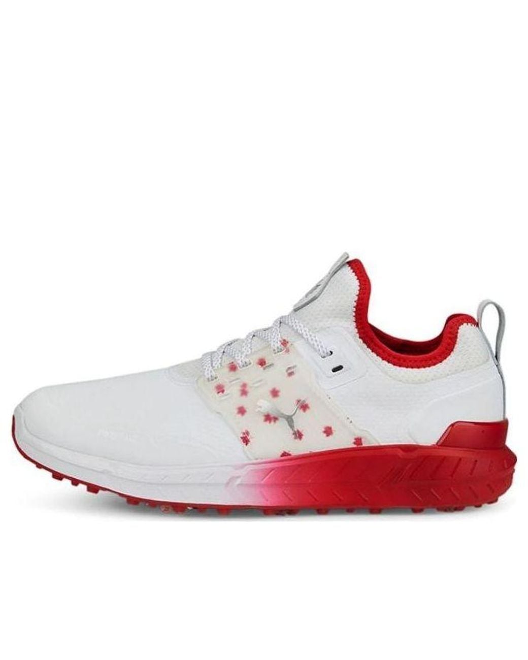 PUMA White Ignite Articulate Maple Golf Shoes for men