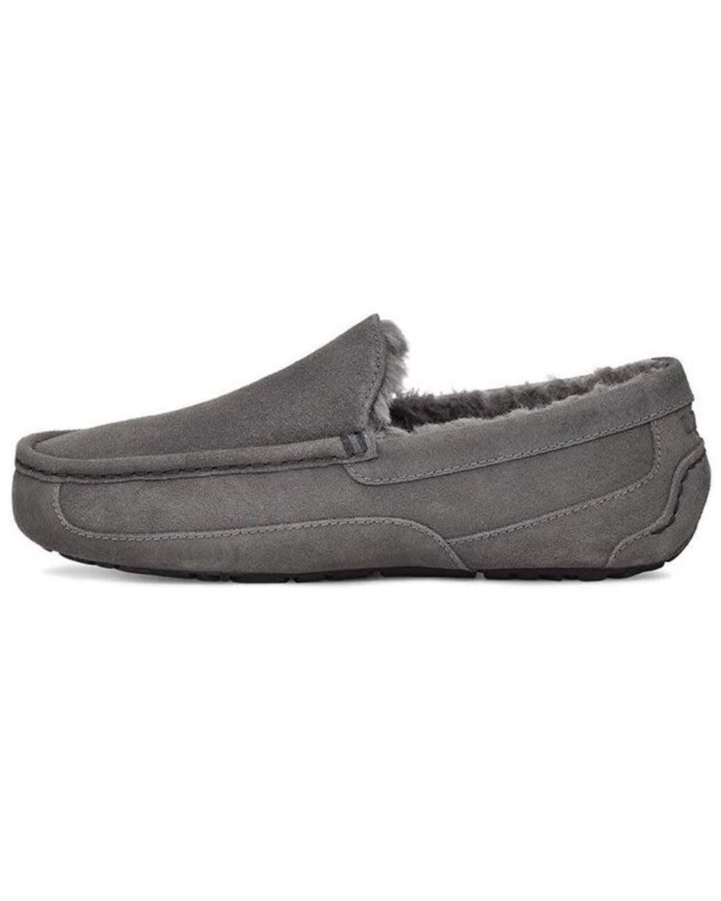 Ugg Gray Ascot Slip-On for men