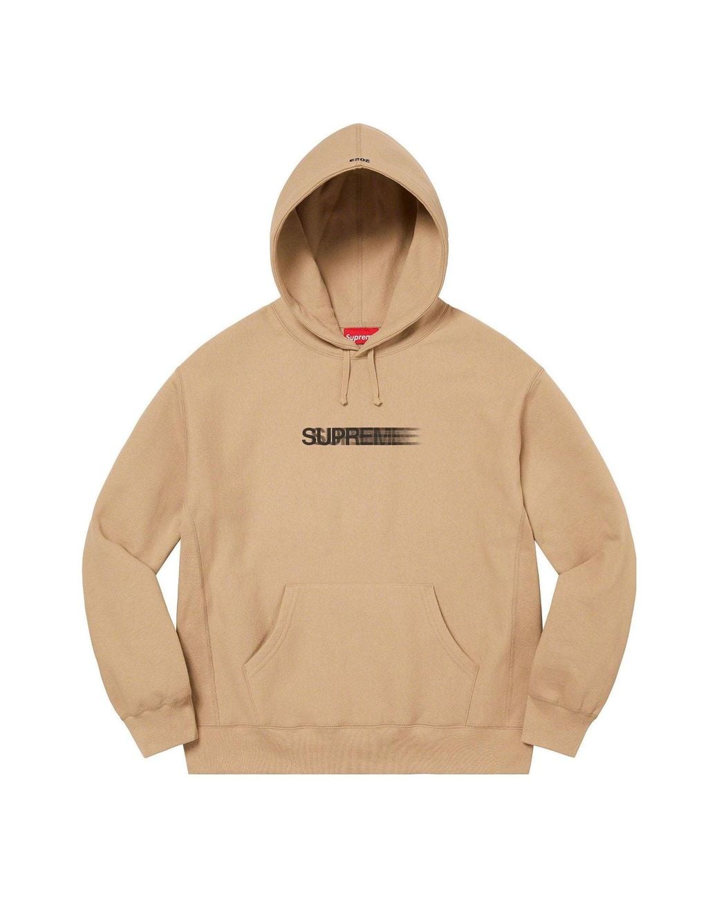 Supreme Natural Motion Logo Hooded Sweatshirt for men