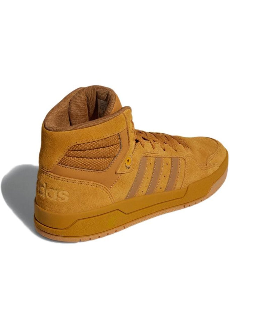 Adidas Brown Entrap for men