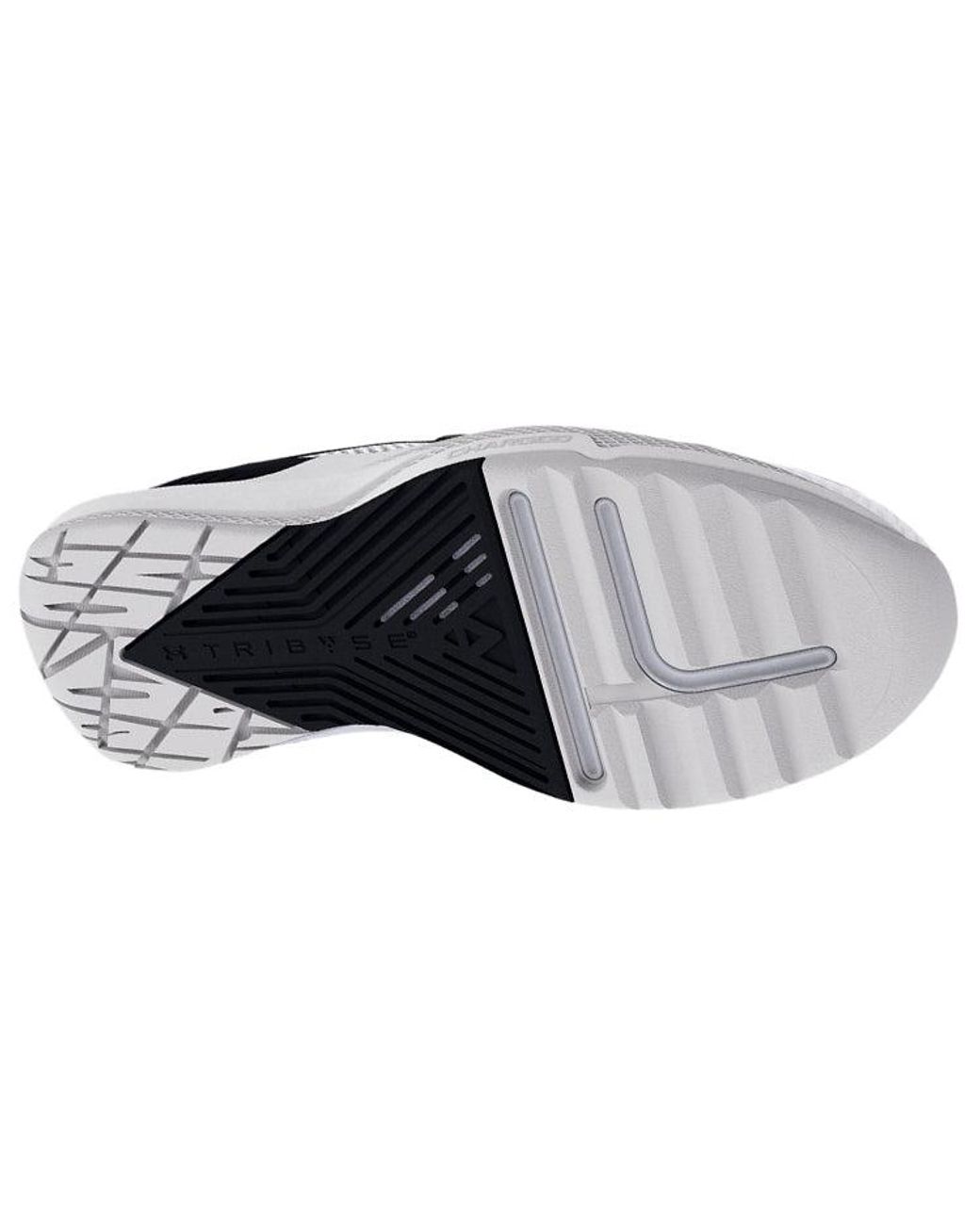 Under Armour Blue Project Rock Bsr 2 for men
