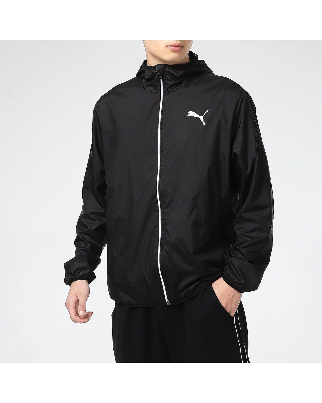 PUMA Blue Essentials Solid Windbreaker Jacket for men