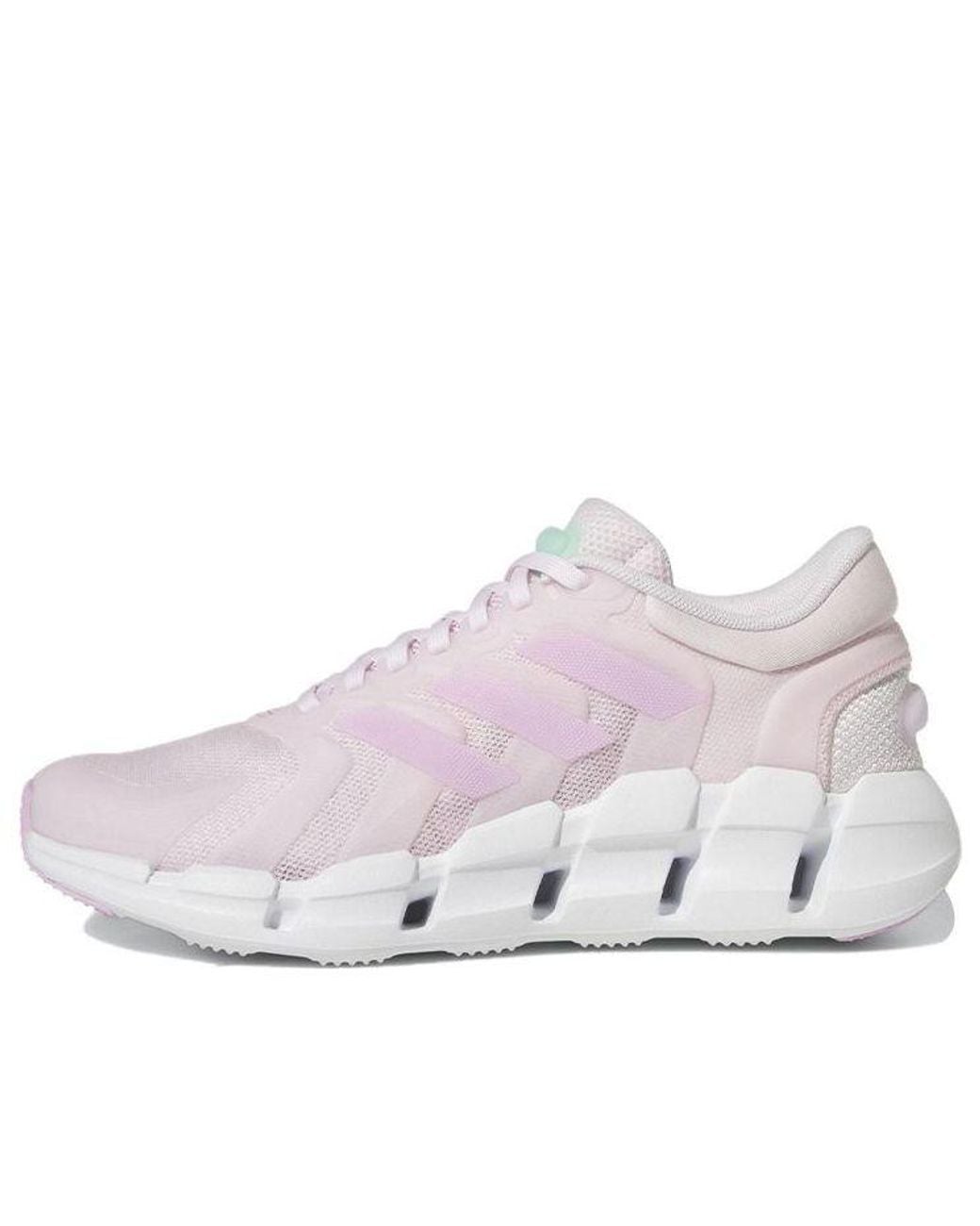 Adidas White (Wmns) Ventice Climacool