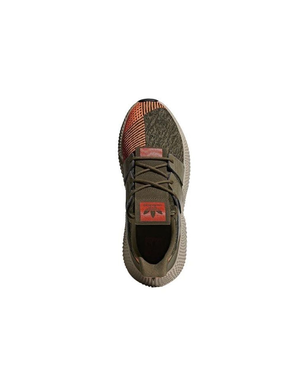 Adidas Brown Prophere 'Trace' for men