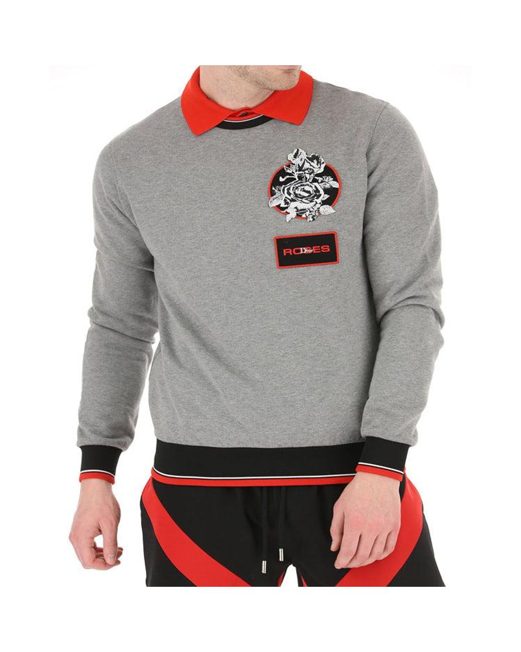 Dior Gray Rose Embroidered Cotton Crewneck Pullover For for men
