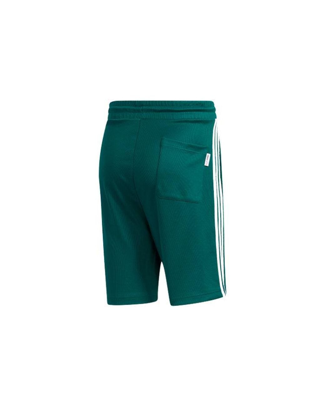 Adidas Green Neo Crossover Sports Shorts for men