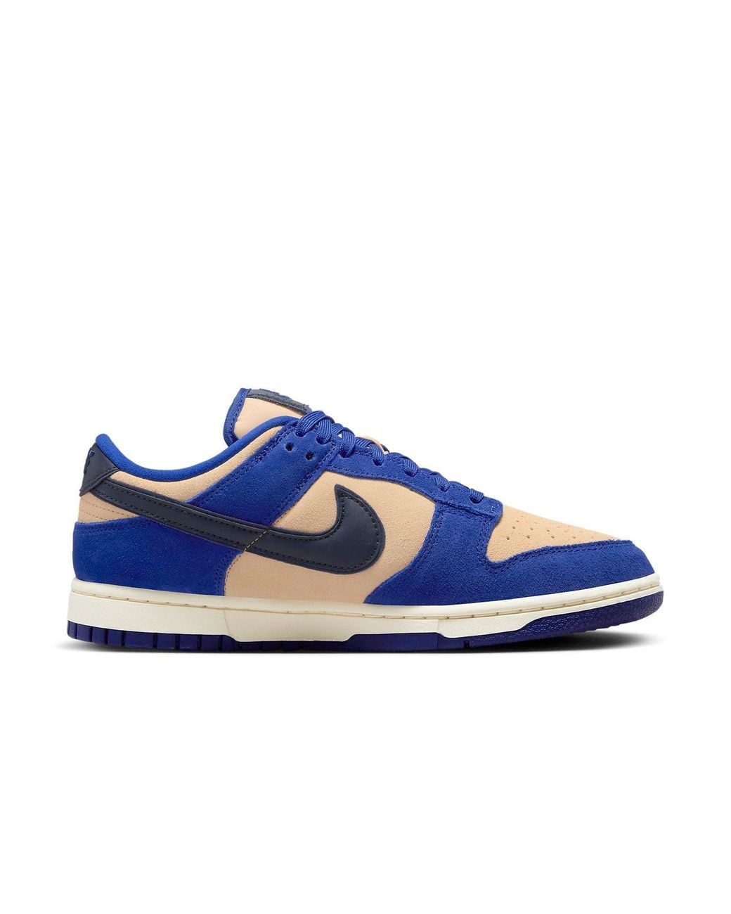 Nike Blue Dunk Low Shoes