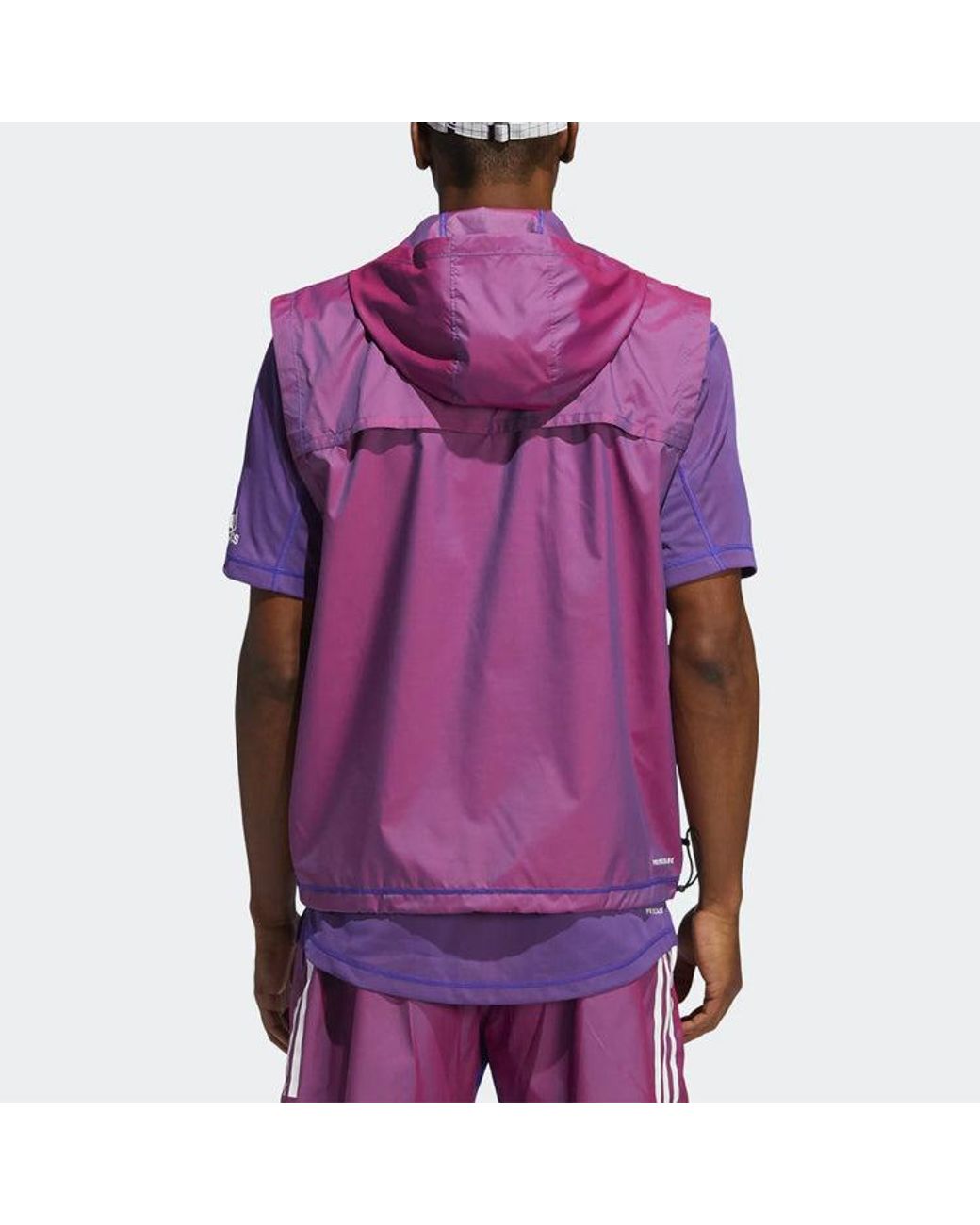 Adidas Purple Training Sports for men