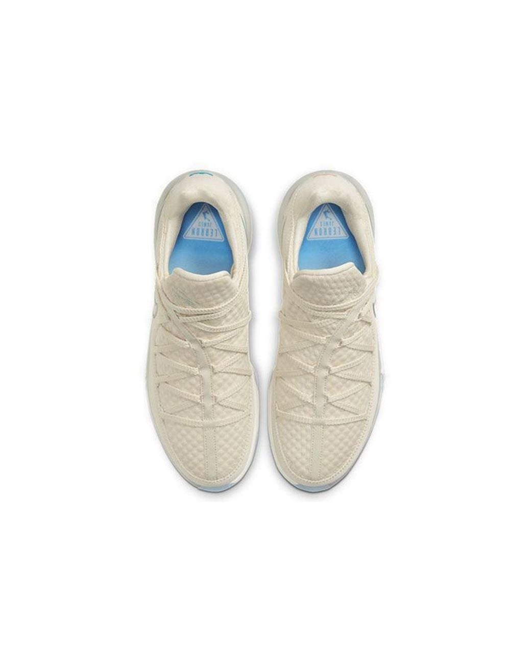 Nike White Lebron 17 Low Ep for men