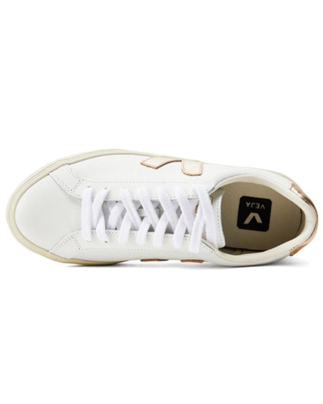 Veja White Campo Lace-Up Platine'