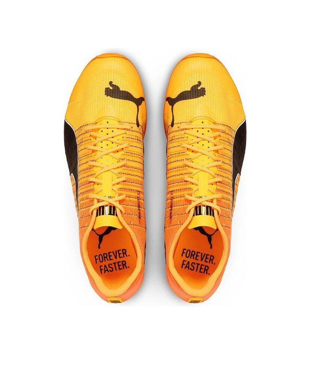 PUMA Orange Evospeed Sprint Nitro 2 'Sun Stream'