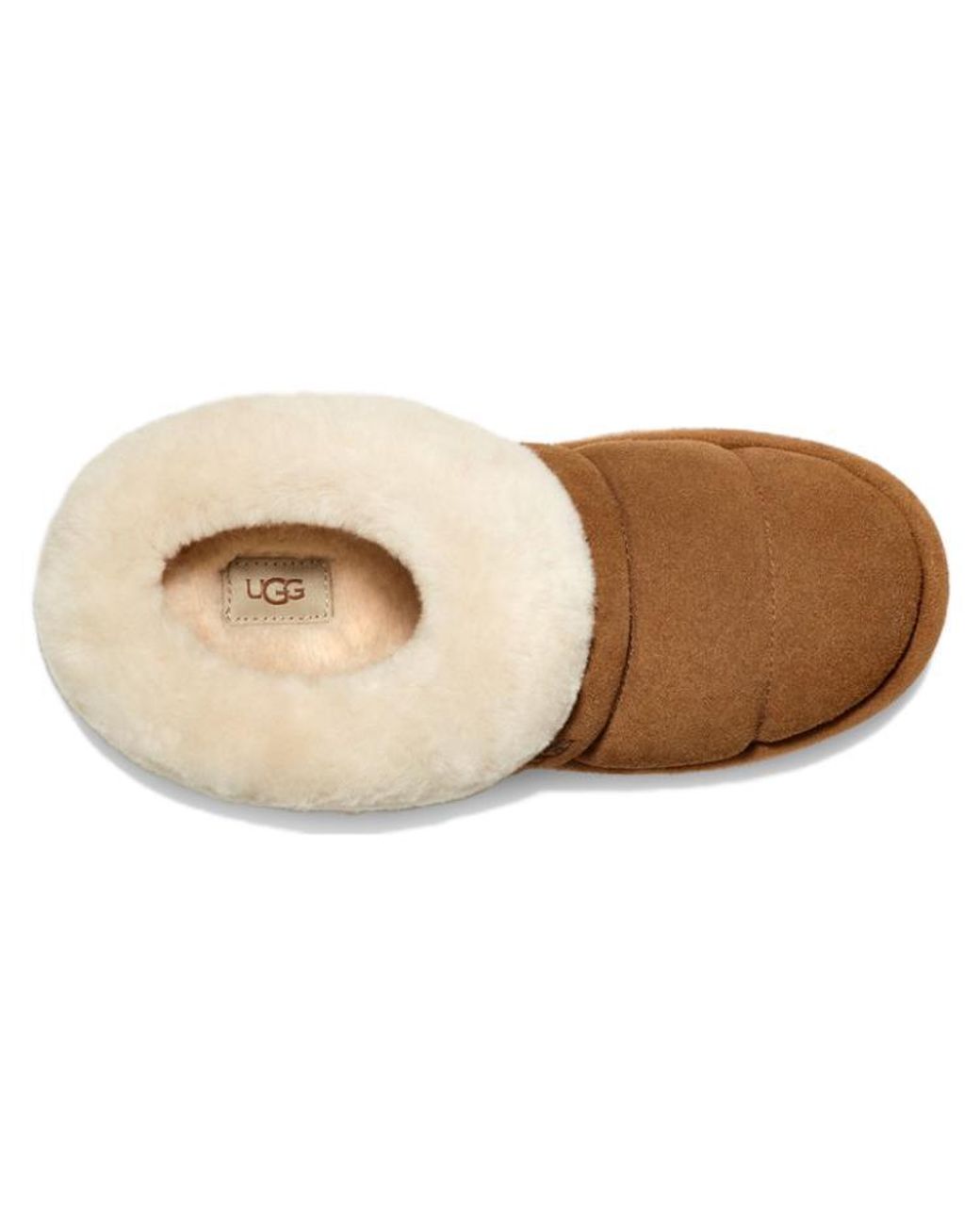 Ugg Brown (Wmns) Tazzlita 'Chestnut'