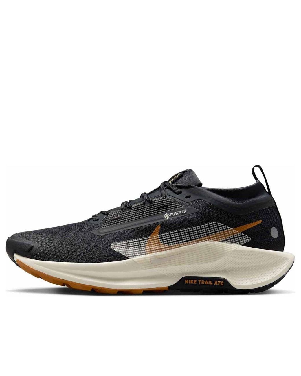 Nike Black Pegasus Trail 5 Gore-Tex 'Off Noir Monarch Pale Ivory' for men