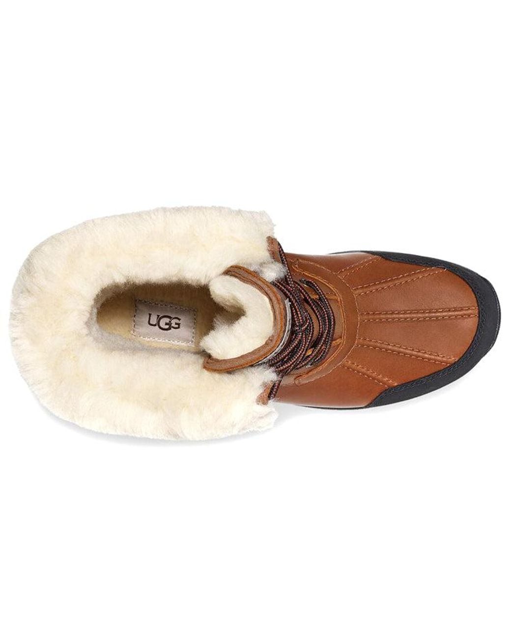 Ugg Brown Butte Boot 'Worchester' for men