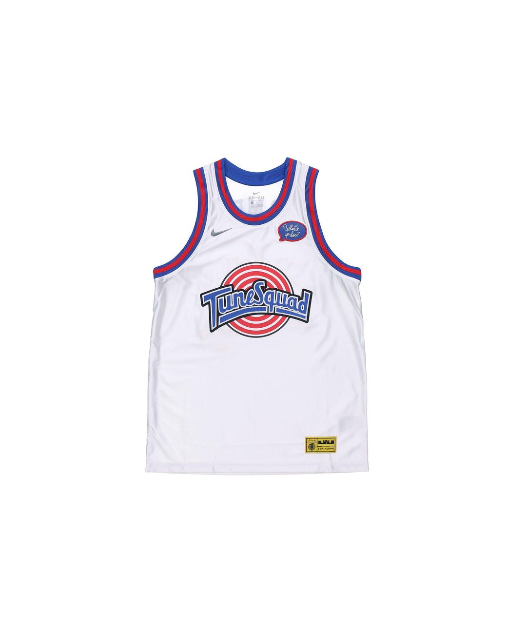 Nike Blue Nba Large Dunk 2 Space Jam Lebron James 23 Large Jersey for men