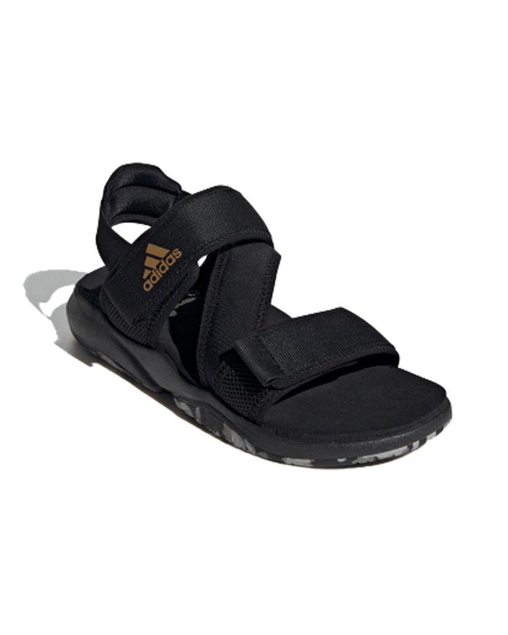 Adidas Blue Terrex Sumra Sports Sandals for men