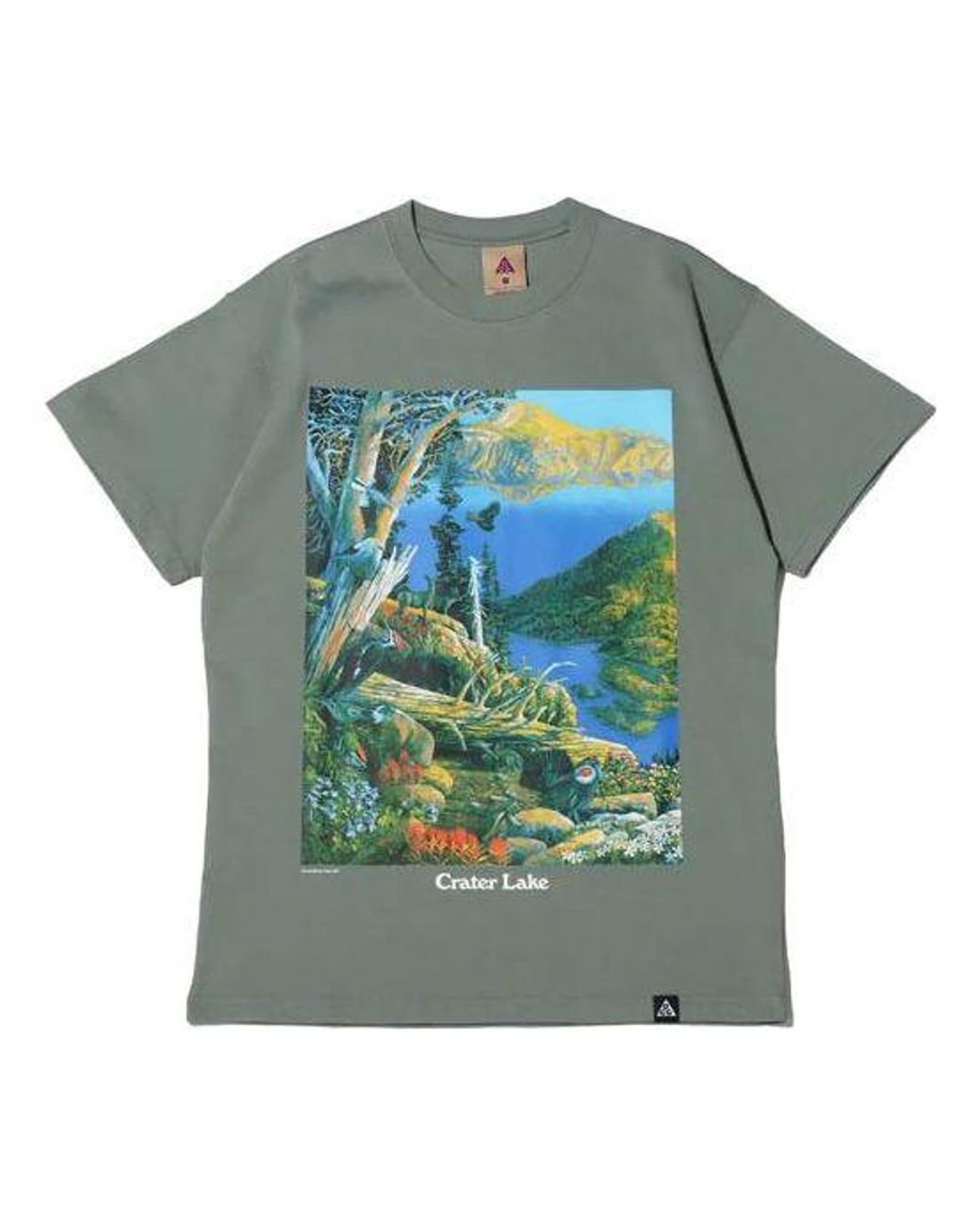 Nike Green Acg Crater Lake Sports Printing Pattern Round Collar for men