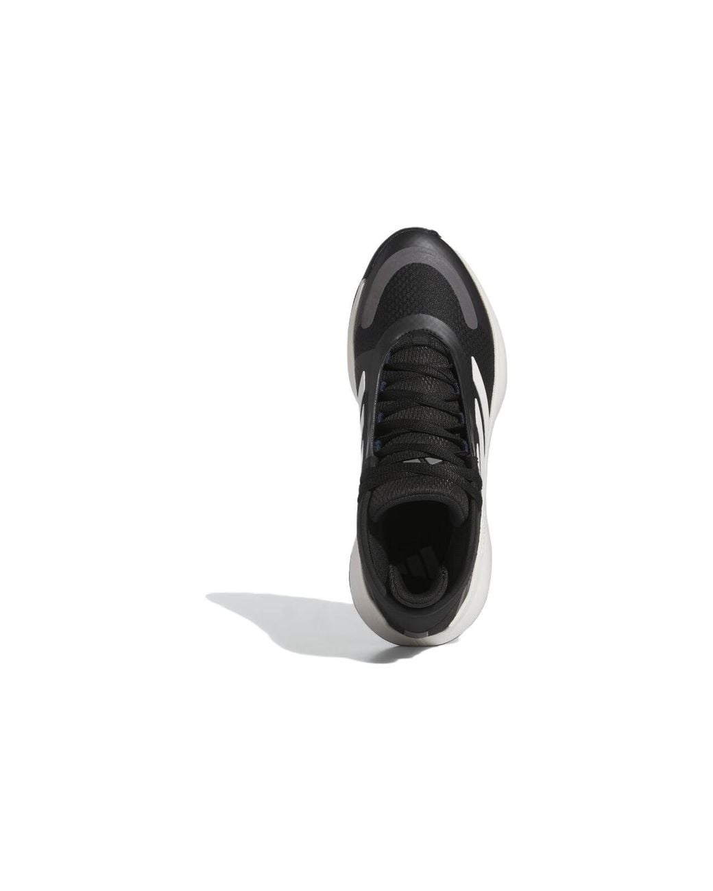 Adidas Black Bounce Legends Low Basketball Shoes for men