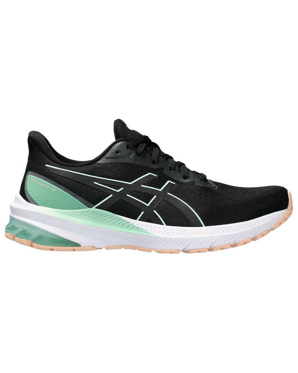 Asics Black Gt-2000 12 Shoes