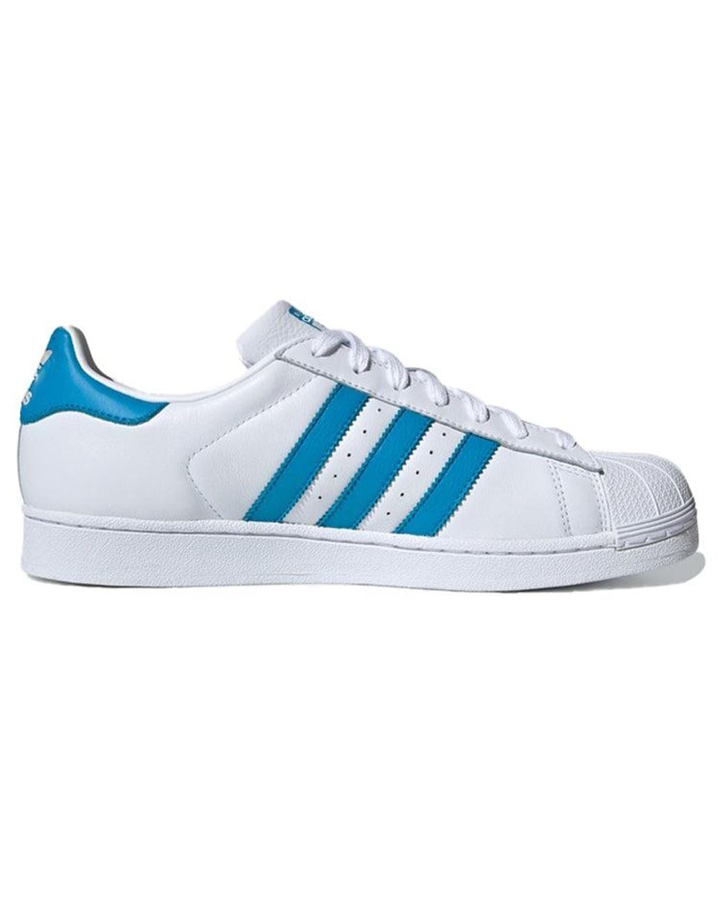 Adidas Blue Superstar Bird' for men