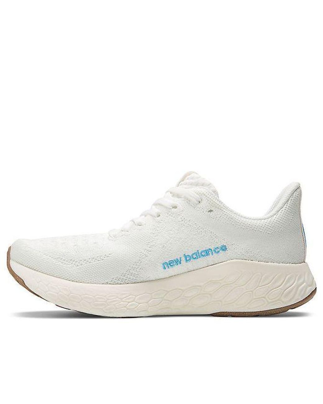 New Balance Blue (Wmns) Fresh Foam X 1080 V12 Bottle Coffee