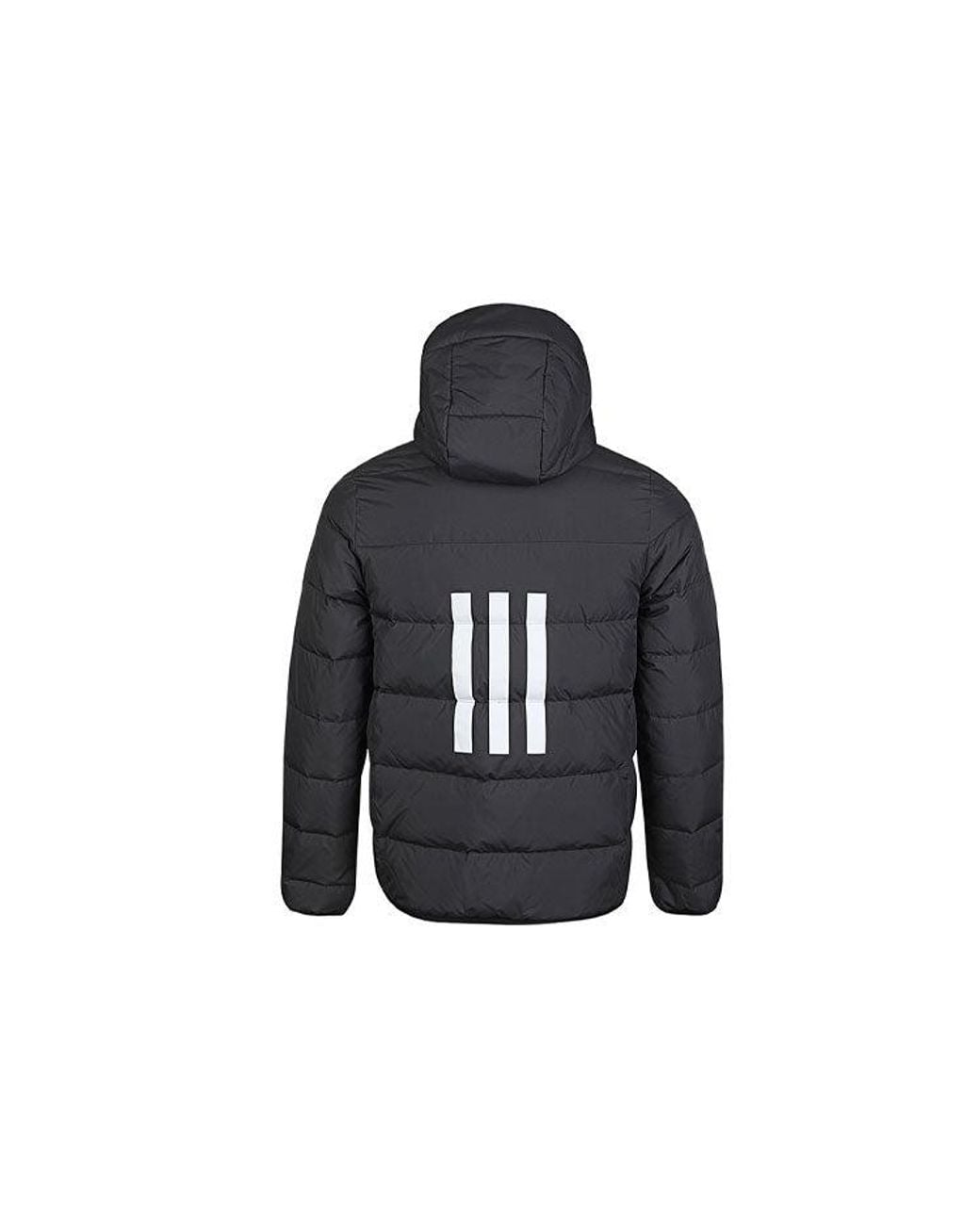 Adidas Blue Neo M Trans Dwn Jkt Windproof Stay Warm Sports Hooded Down Jacket for men