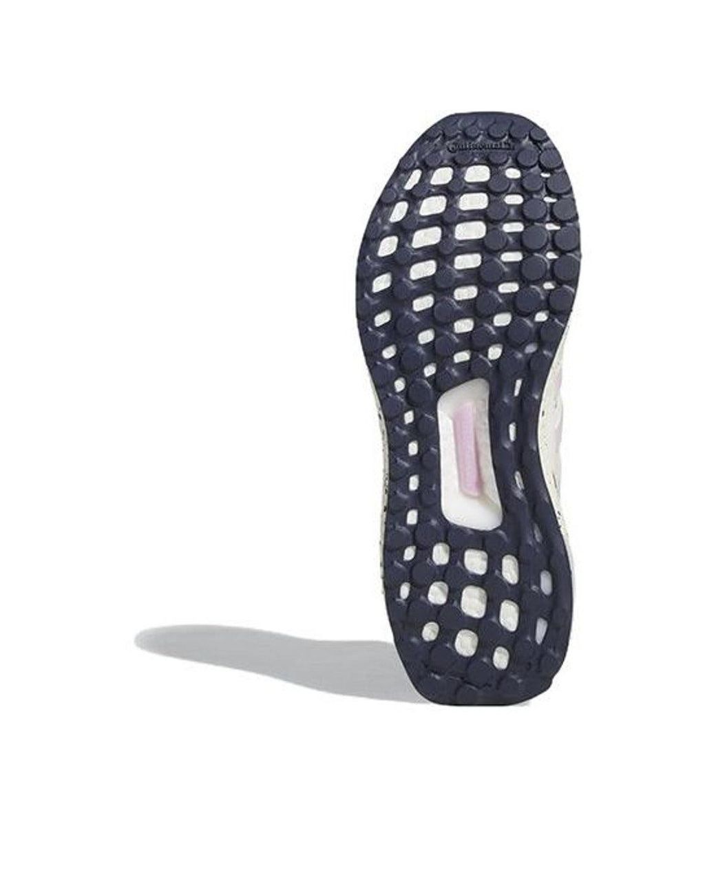 Adidas Blue (Wmns) Ultraboost 5 Dna