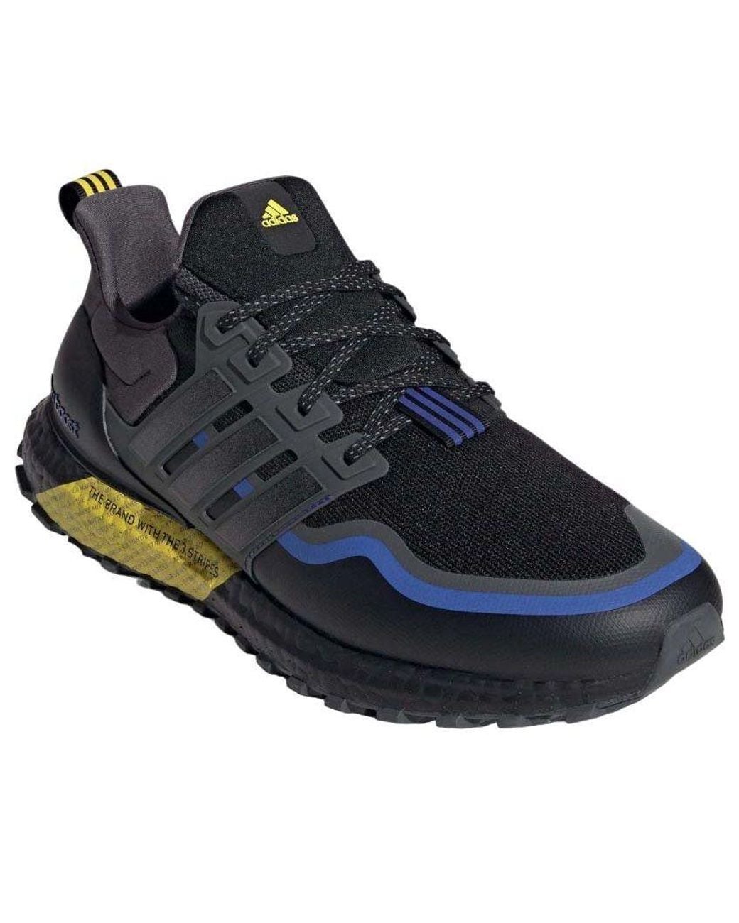Adidas Blue Ultraboost All-Terrain Royal' for men