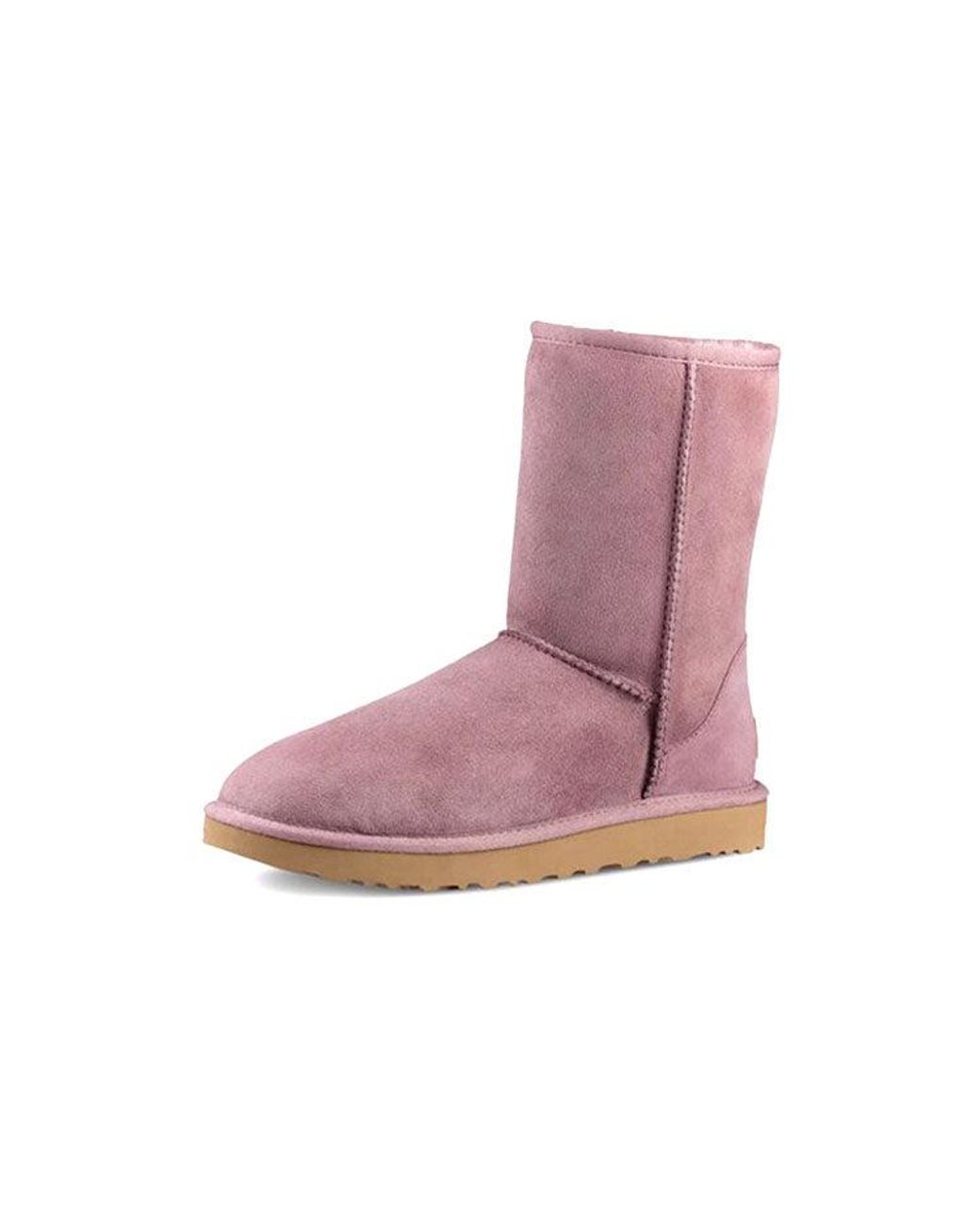 Ugg Purple (Wmns) Classic Short Ii