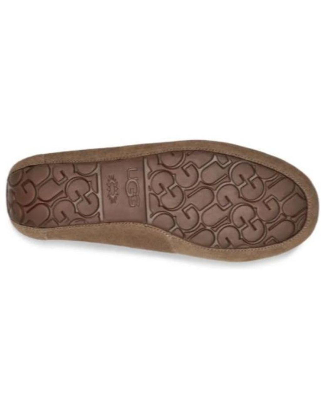 Ugg Brown Gommino for men