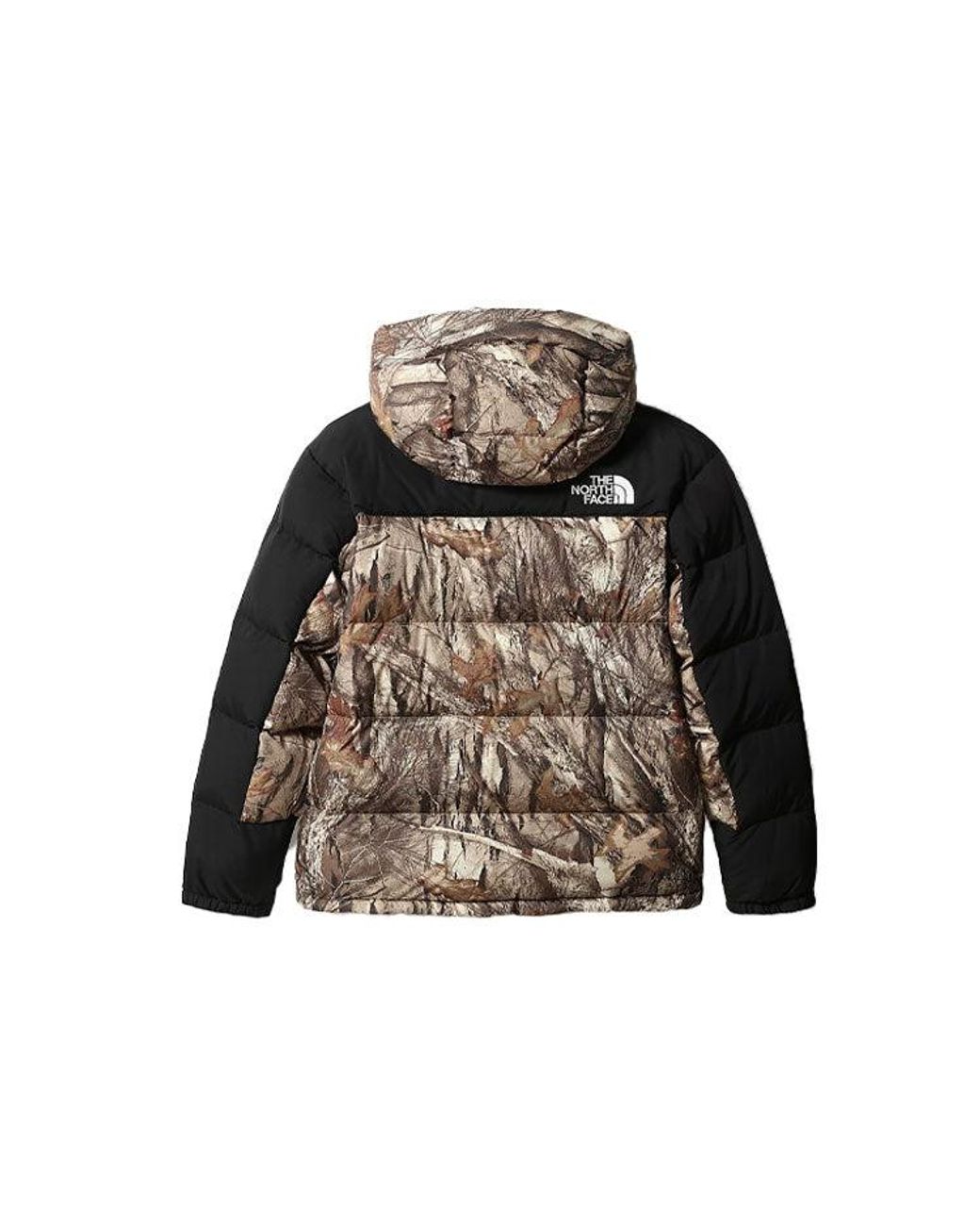The North Face Brown Nuptse Jacket 550 for men