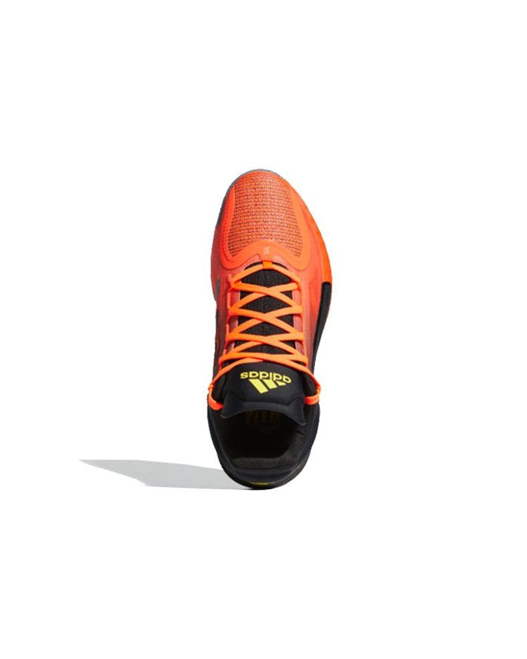 D Rise 11 adidas D Rose 11 'Phoenix Reborn' in Blue for Men | Lyst