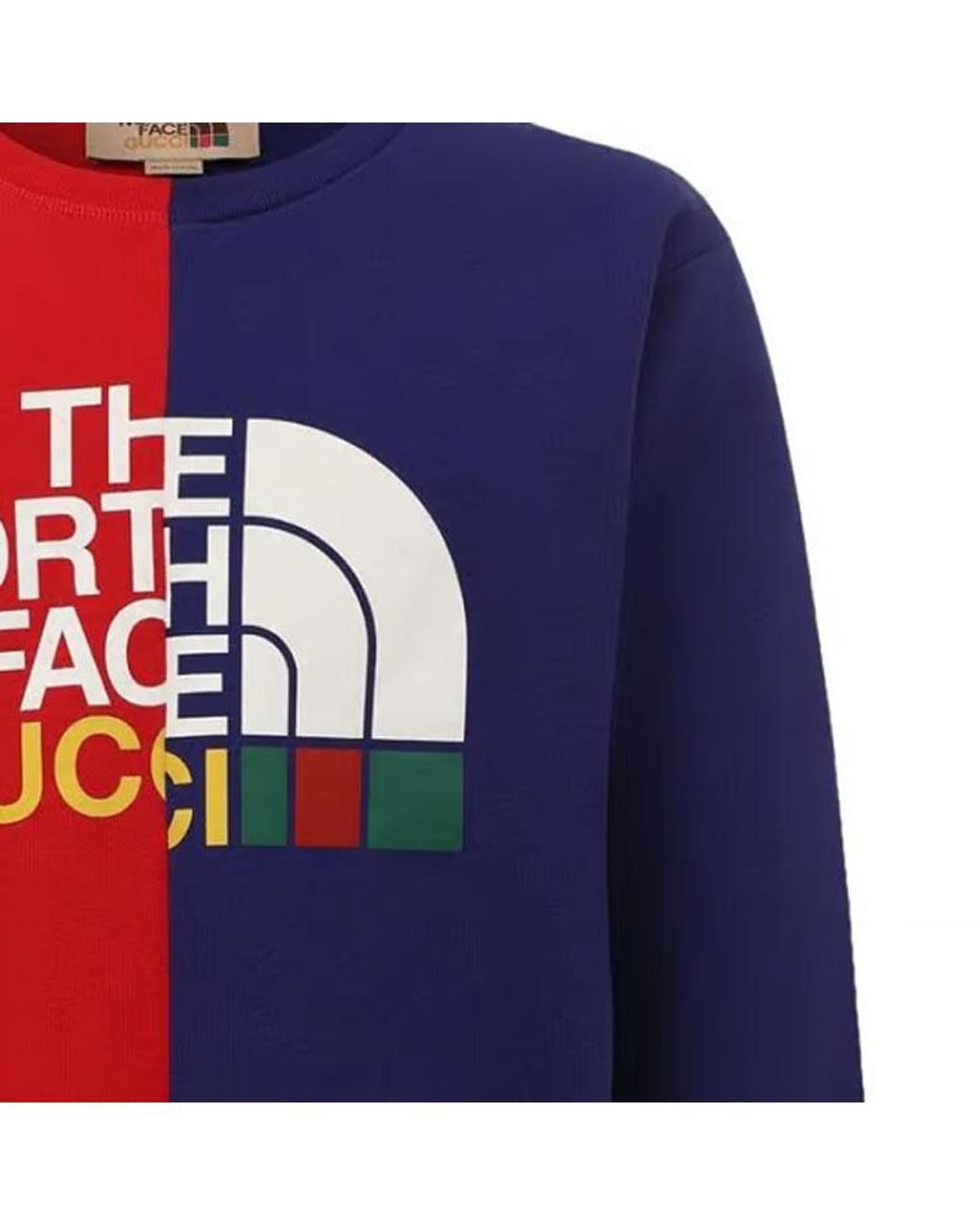 Gucci Blue X The North Face Sweatshirt for men