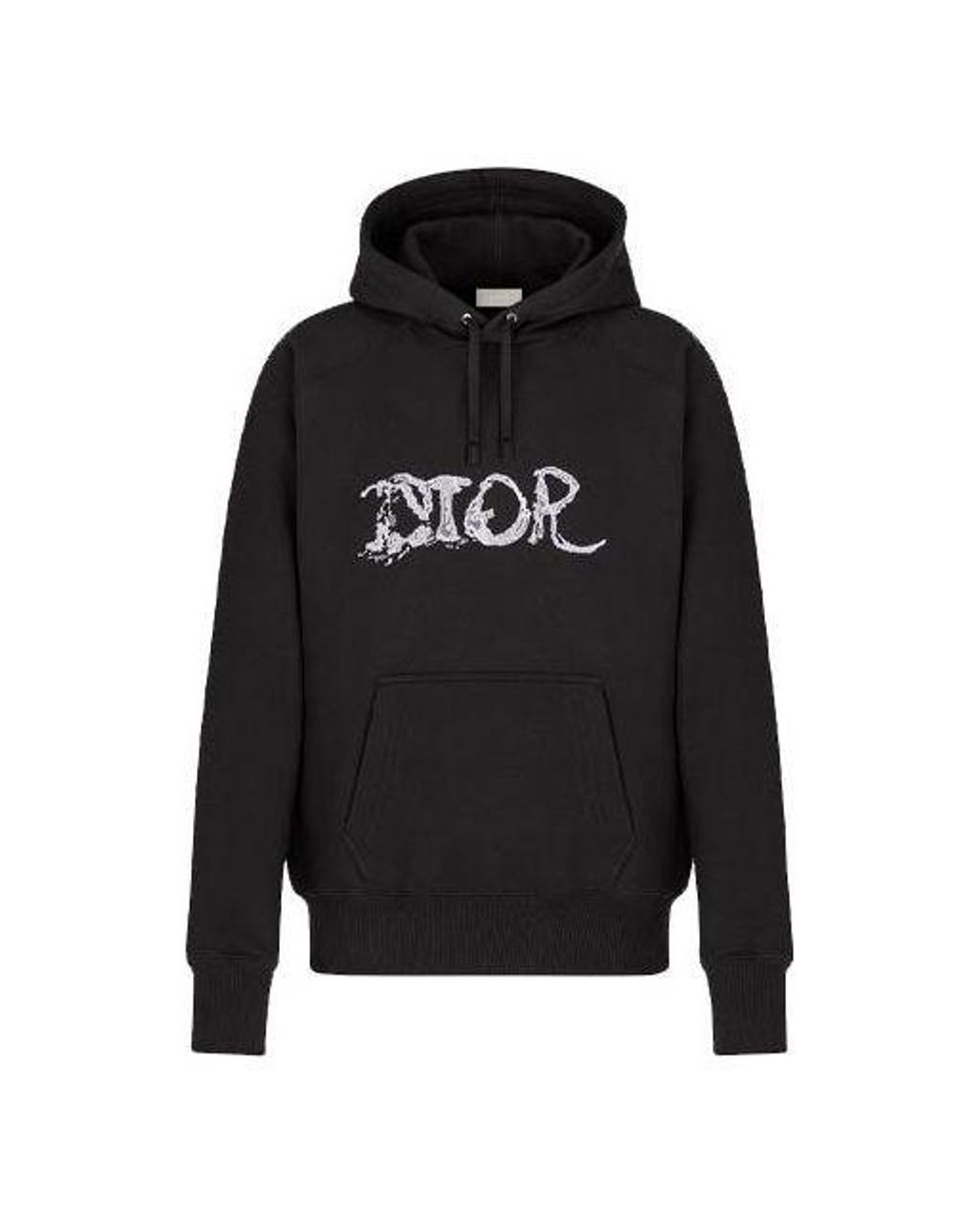 Dior Black X Peter Doig Crossover Fw21 Logo Embroidered Pullover for men