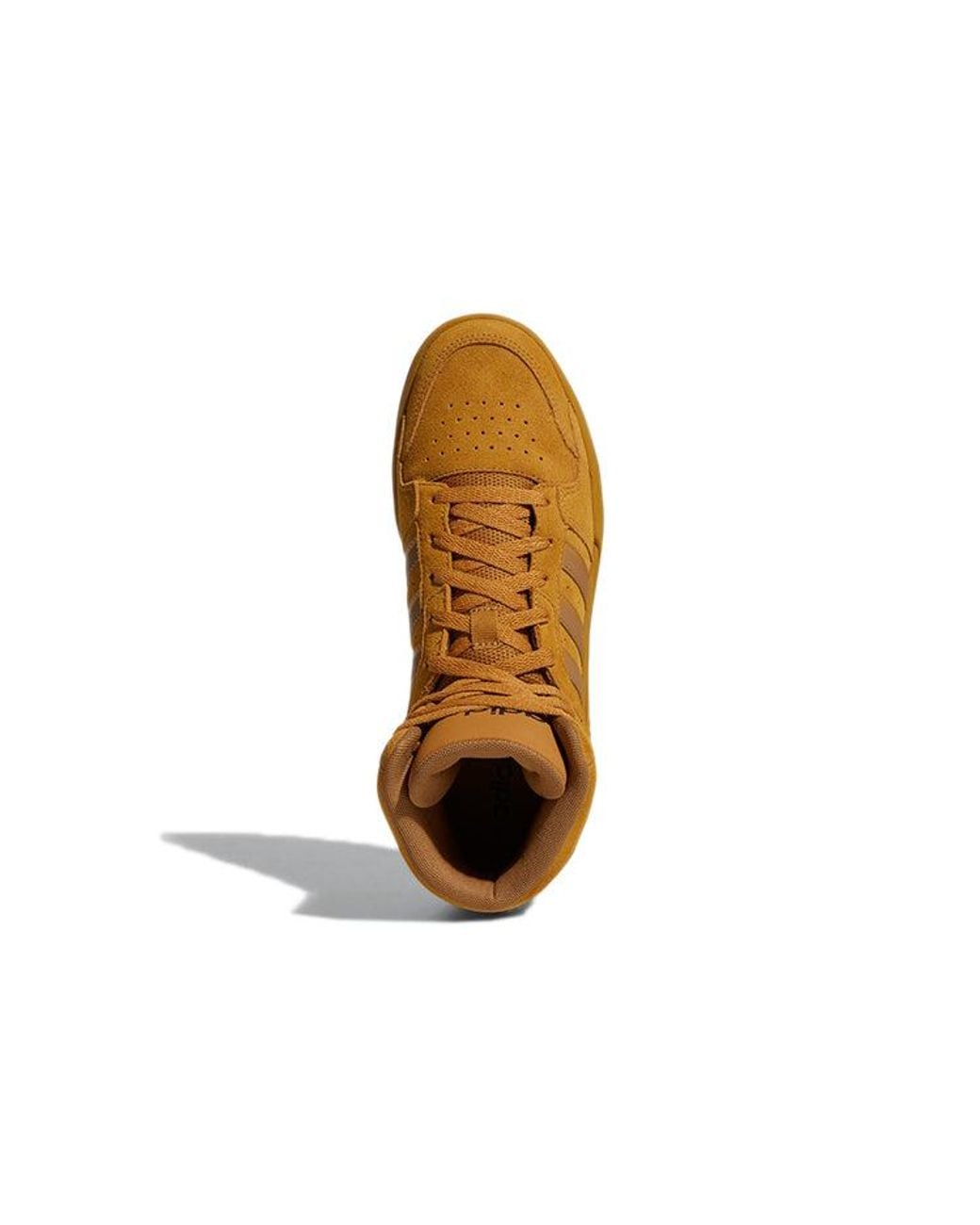 Adidas Brown Entrap for men