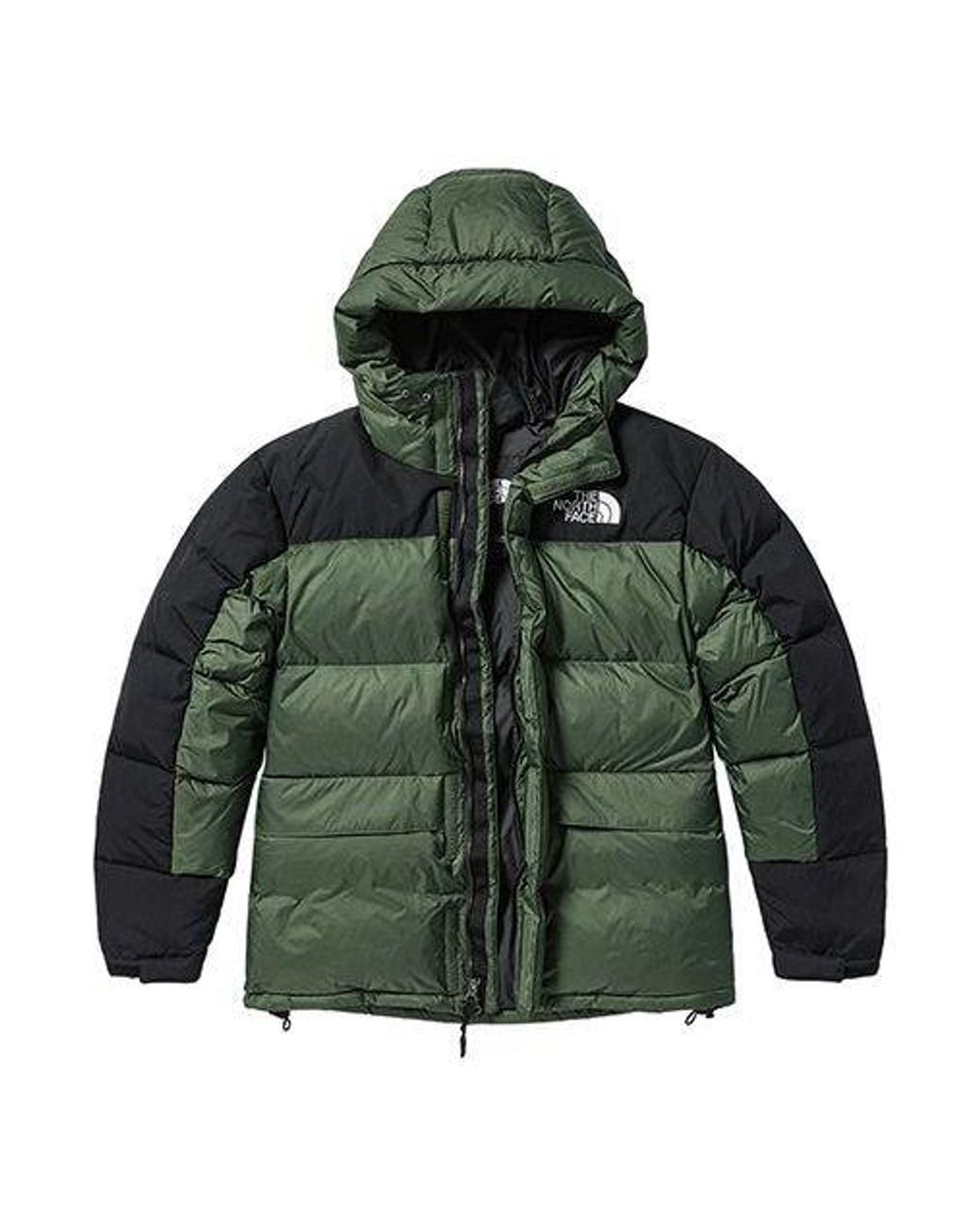 The North Face Winter Puffer Jacket 'Olivegreen' for men
