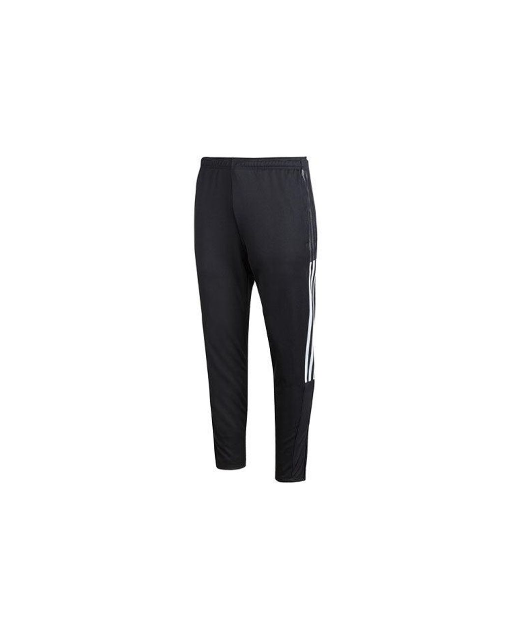 Adidas Black Tiro21 Tk Pnt Sports Long Pants for men