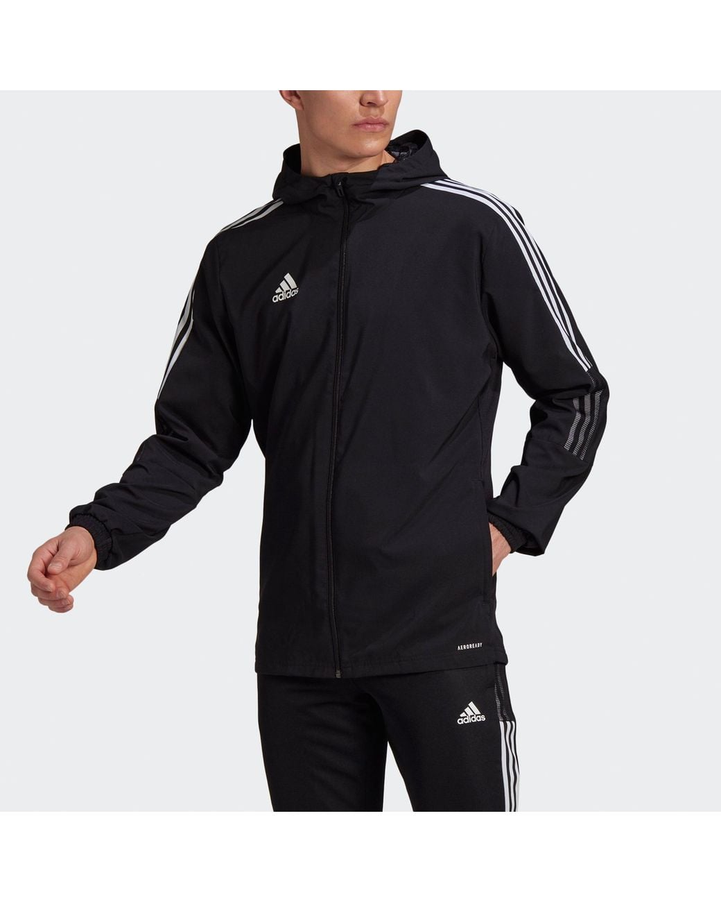 Adidas Blue Tiro21 Wb Soccer/Football Training Sports Hooded Logo Jacket for men
